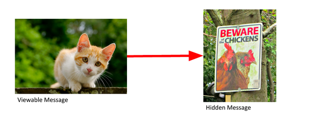 استگانوگرافی با تصویر