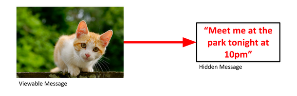 استگانوگرافی با متن